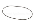 2342 Douglas Machines Casing O-Ring