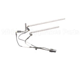 23ASS01 Cafection Hot Water Tank Probes & Harness