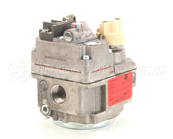 P8905-36 Anets Gas Valve