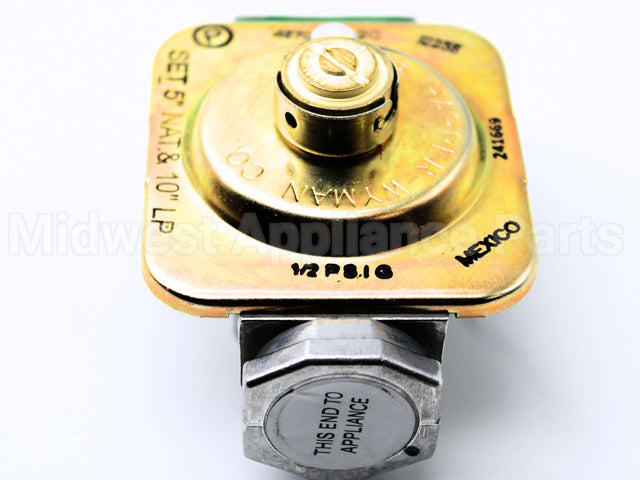 241669P Fisher Paykel Regulator Nat/Lp (1Pk)