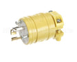 2447 Hubbell Lighting Locking Plug 15A 125V 2P 3W