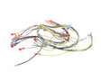 24920 Blodgett Harness,Wiring