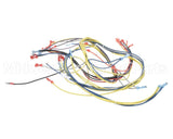 24920 Blodgett Harness,Wiring