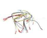 24920 Blodgett Harness,Wiring