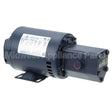 24A279 Compatible Ultrafryer Pump/Motor Assy, 8.3Gal, Haight