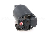 24A299 Ultrafryer Pump/Motor Assembly, 5.0 Gpm 1/3 Turbo H