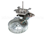 250-1060 Nu-Vu Kit,Motor,1/3Hpdv,10Cage 240V