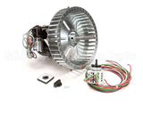 250-1065 Nu-Vu Kit,Motor,1/3Hpdv,10Cage 120V