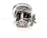 250-1065 Nu-Vu Kit,Motor,1/3Hpdv,10Cage 120V