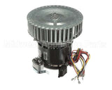 250-1066 Nu-Vu Kit,Repl,Motor,Dco5,8Cage