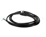 2500129081 Jade Cord/Plug Assembly