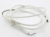 250286P Fisher Paykel Electrode Rotis Bur 1145
