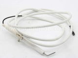 250286P Fisher Paykel Electrode Rotis Bur 1145