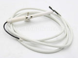 250286P Fisher Paykel Electrode Rotis Bur 1145