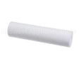 252-10810 Everpure Pts-10 (6-Pack)