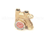 2535006 Cornelius Pump Water Br 125Gph W/Strainer