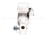 257-0010 Doyon Gear Motor