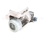 257-0010 Doyon Gear Motor