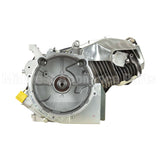 25P132-0003-G1 Briggs & Stratton Engine Packed Single Carton
