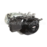 25T235-0111-G2 Briggs & Stratton Engine Packed Single Carton