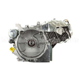 25T235-0111-G2 Briggs & Stratton Engine Packed Single Carton