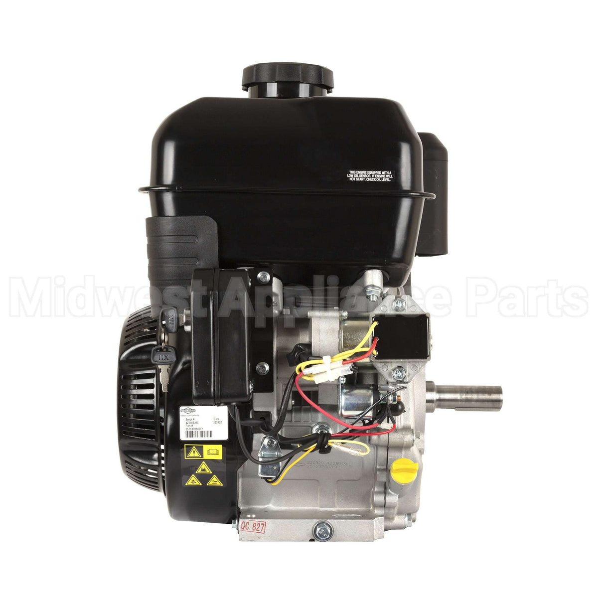 25T237-0085-F1 Briggs & Stratton Engine Packed Single Carton