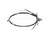 26081.0003 Bunn Wiring Harn, 200-240V On/Off
