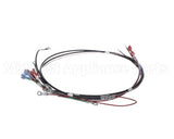 26081.0003 Bunn Wiring Harn, 200-240V On/Off