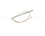 26249 Henny Penny Assembly-Probe 6