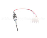 2660-068 Concordia Beverage Assy Temp Lvl Probe Xt