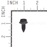 26X249MA Briggs & Stratton Screw-.312-18X.75