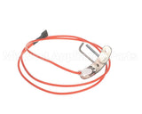 270441 Reznor Ignitor Assembly W/Lead