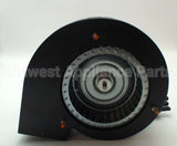 270476 Reznor 120V 1Spd Inducer Motor Assy