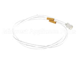 2790-175 Concordia Beverage Assy Tube Syrup Out Yel Xt