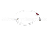 2790-177 Concordia Beverage Assy Tube Syrup Out Red Xt