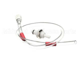 2790-183 Concordia Beverage Assembly Tube Syrup In Red Xt