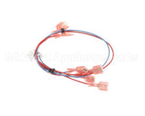 28336.0000 Bunn Wiring Harness, Door (Lamp)