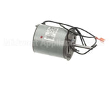 28428.1002 Bunn Kit, Whipper Motor Assembly W/Terms 240V