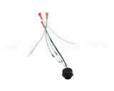 28766.0000 Bunn Wire Assembly, Probe-Refill