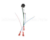 28766.0000 Bunn Wire Assembly, Probe-Refill