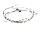 29072.0000 Bunn Wiring Harn,Main-Cdbc 120V