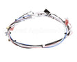 29072.0016 Bunn Wiring Harn,Main 120V 1L/2U