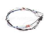 29072.0016 Bunn Wiring Harn,Main 120V 1L/2U