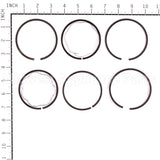 298746 Briggs & Stratton Ring Set-Std Chr