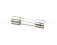 29927 Power Soak Systems Renau Fuse 2A/250V (For Fuse B