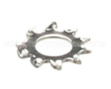 2C-1825 Star Washer #8 Ext Stl Np