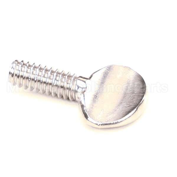 2C-35907 Compatible Wells Screw 1/4-20X5/8 Ss Thum B