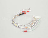 2E-141-701 Lang Harness, #1G - Gg