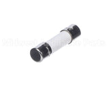 2E-1503050 Apw Wyott Fuse 10 Amp