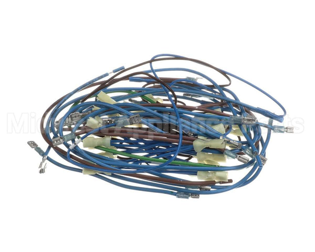 2E-21831976 Apw Wyott Wire Harness; Hrs-75;5T